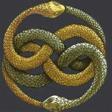 serpenti intrecciati significato